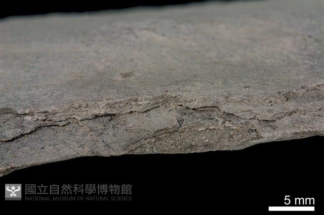 頁岩藏品圖，第2張