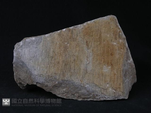 石英片岩藏品圖，第2張