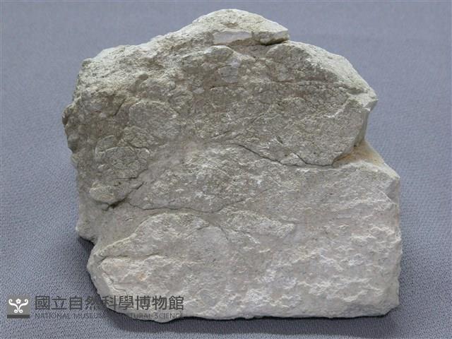石英片岩藏品圖，第2張
