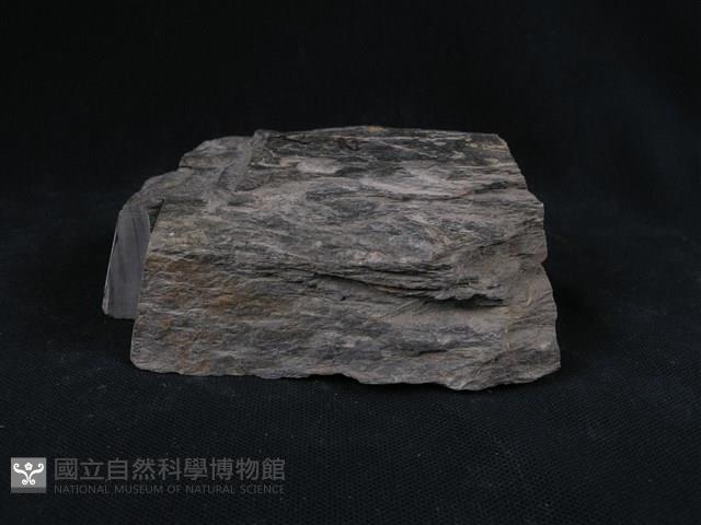 雲母石英片岩藏品圖，第2張