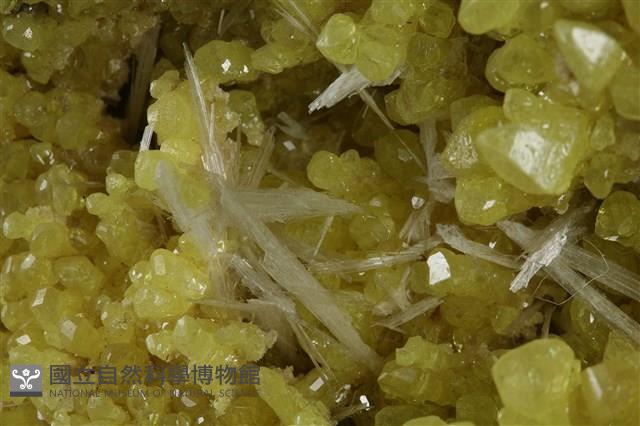 硫磺/透石膏藏品圖，第5張