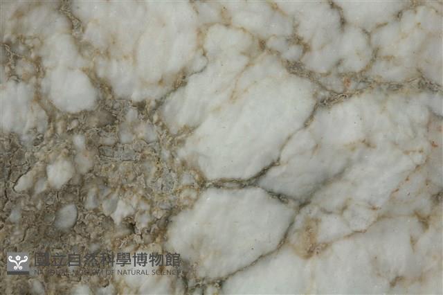 石膏藏品圖，第2張