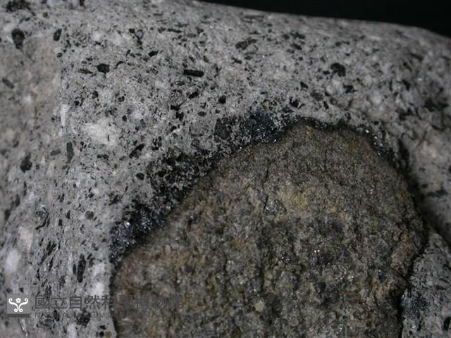 黑雲母角閃石安山岩藏品圖，第2張