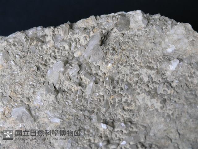 矽質片岩藏品圖，第2張