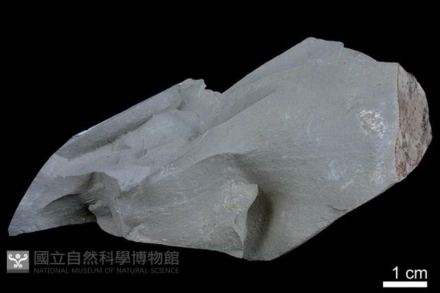 泥岩藏品圖，第2張