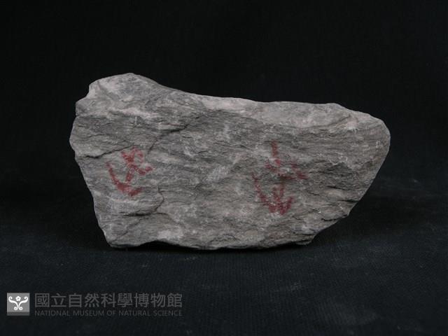 石英片岩、綠泥石片岩藏品圖，第2張