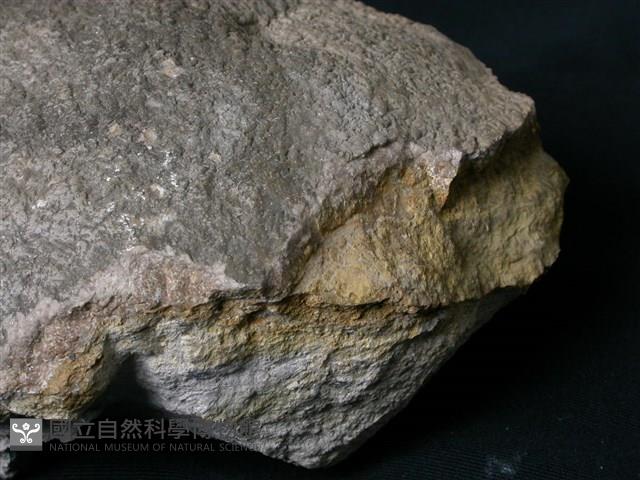 北投石藏品圖，第2張