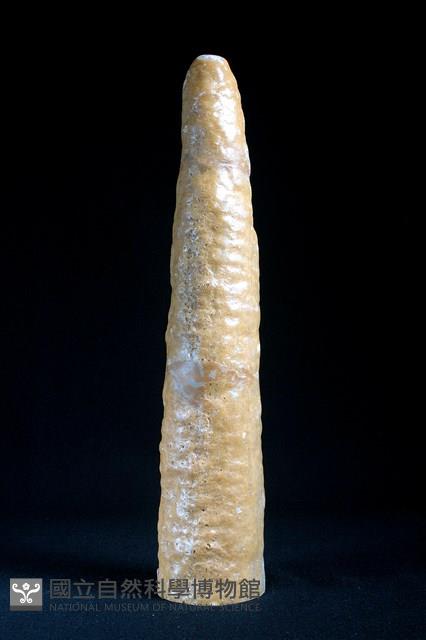 鐘乳石藏品圖，第2張