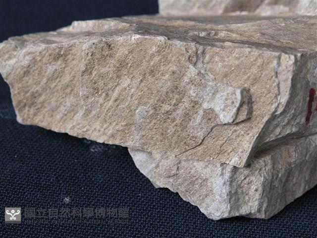 矽質片岩藏品圖，第2張