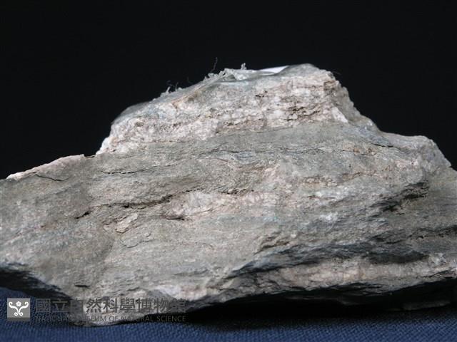 矽質片岩藏品圖，第2張