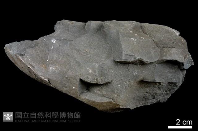 頁岩藏品圖，第2張