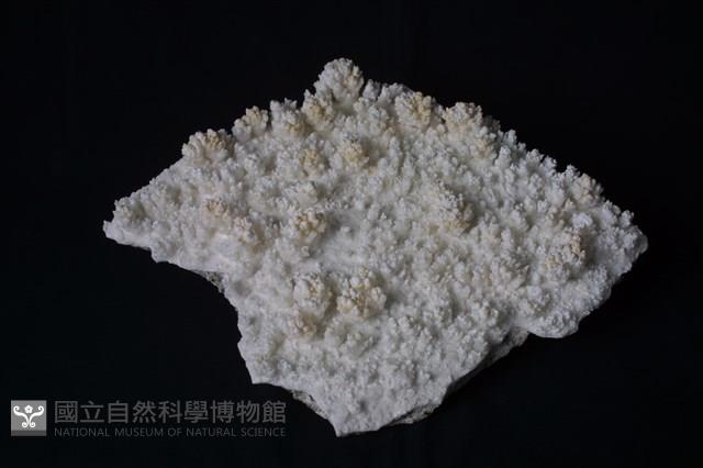 方解石藏品圖，第5張