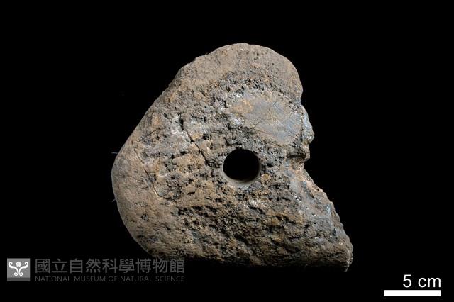 錳核藏品圖，第5張