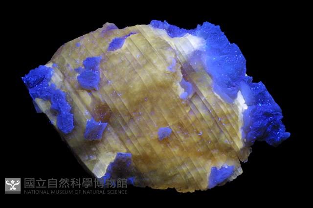 透石膏/玉髓藏品圖，第2張
