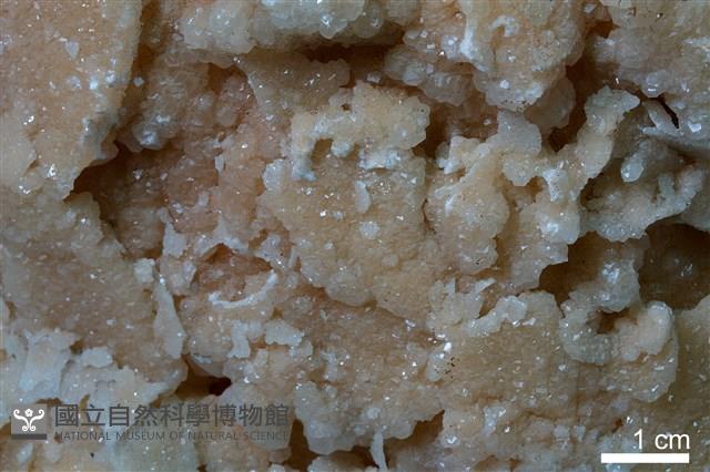 石灰華藏品圖，第5張