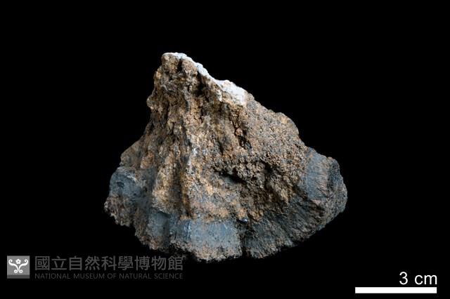 錳核藏品圖，第5張