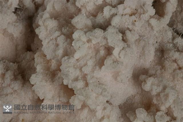 黝銅礦藏品圖，第5張