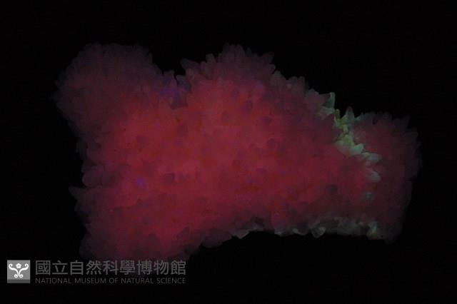 錳方解石藏品圖，第5張