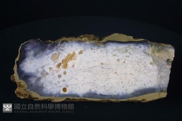 玉髓藏品圖，第5張
