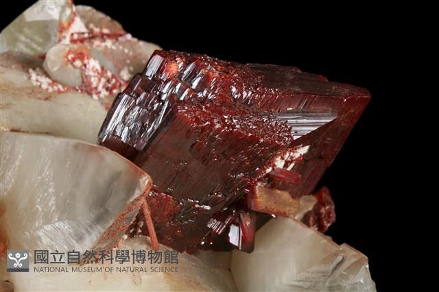 雄黃藏品圖，第5張