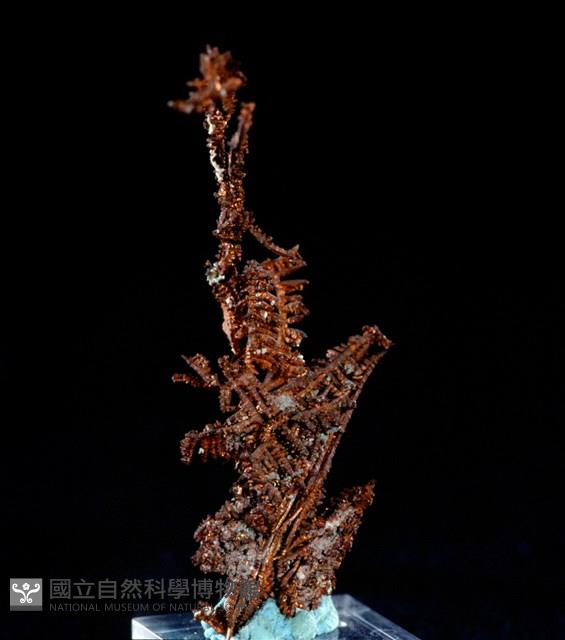 自然銅藏品圖，第23張
