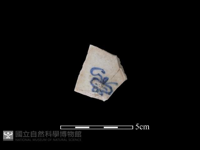 瓷片藏品圖，第4張