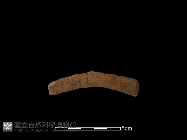 裝飾磚藏品圖，第3張