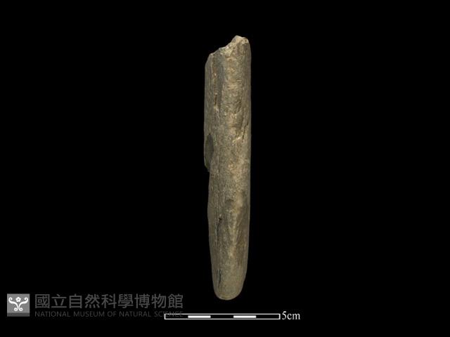 石鎚藏品圖，第1張