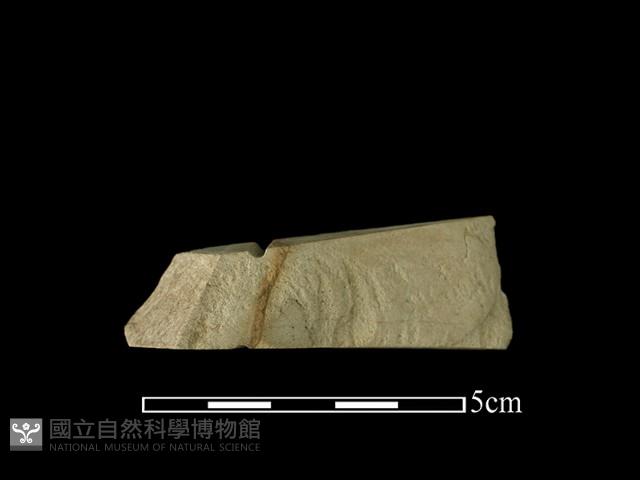 帶加工痕石材藏品圖，第3張