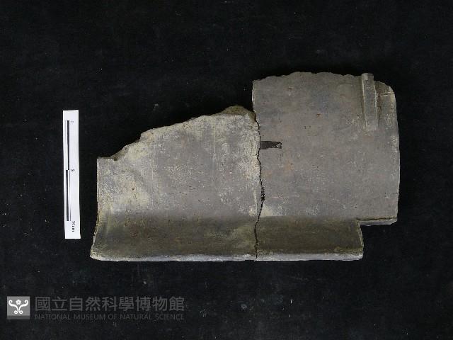 瓦片藏品圖，第4張