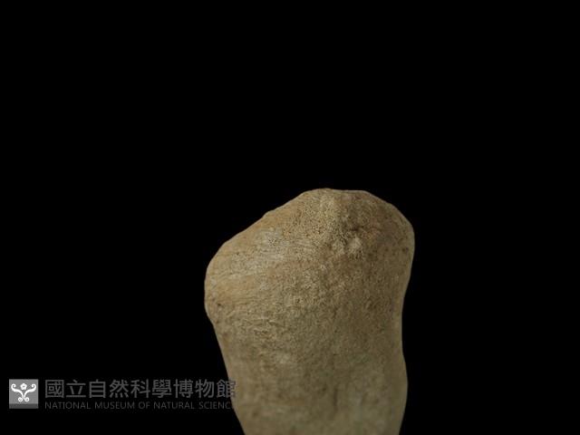 石鎚藏品圖，第3張