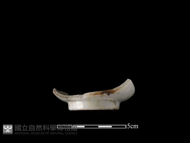 Accession Number:SNZ-2014-041 Collection Image, Figure 3, Total 3 Figures