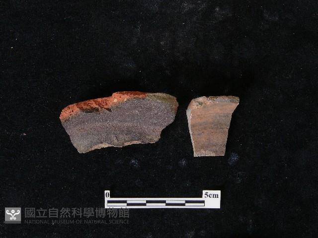 陶片藏品圖，第4張