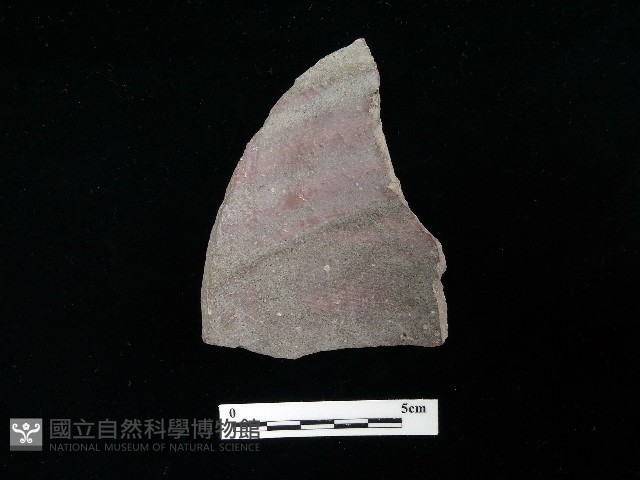 陶片藏品圖，第4張