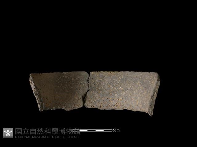 陶片藏品圖，第3張