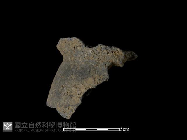 陶器藏品圖，第3張