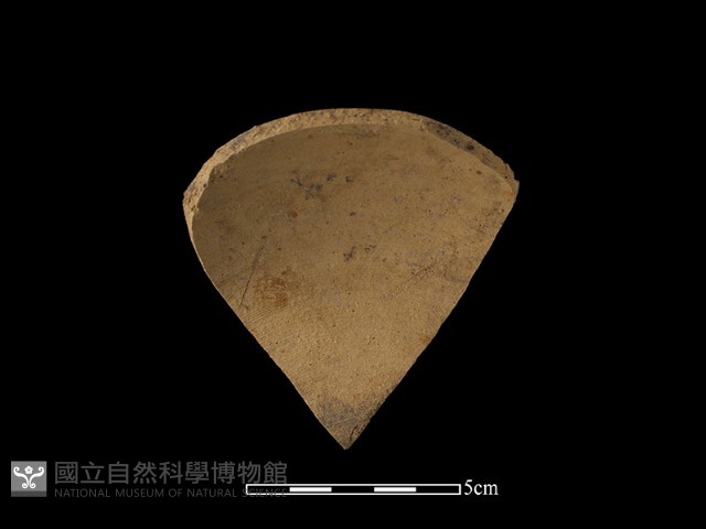 陶片藏品圖，第3張