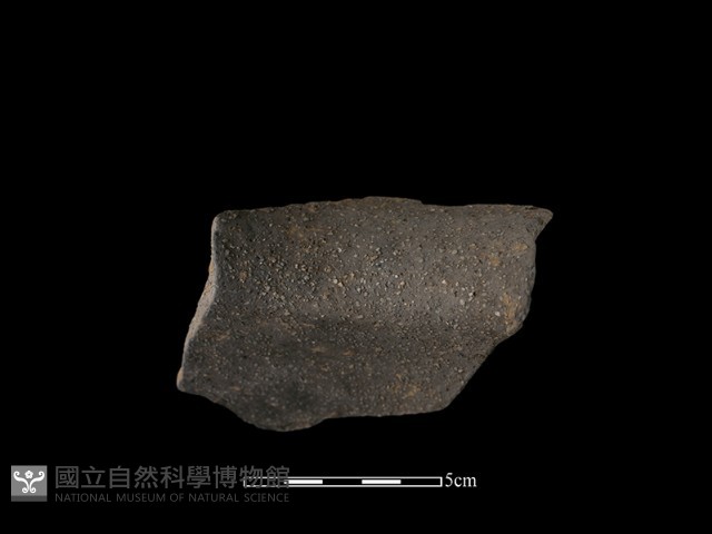 陶片藏品圖，第1張