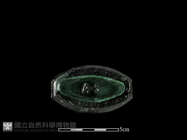 玻璃瓶藏品圖，第3張