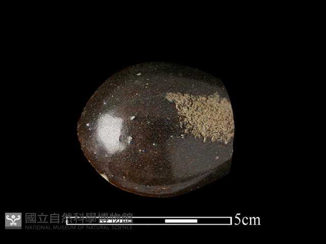 湯匙藏品圖，第3張