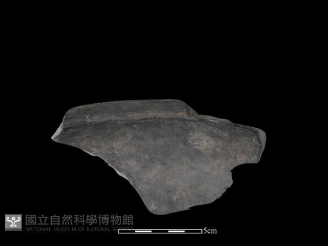 陶缽藏品圖，第3張
