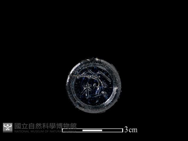 玻璃罐藏品圖，第3張