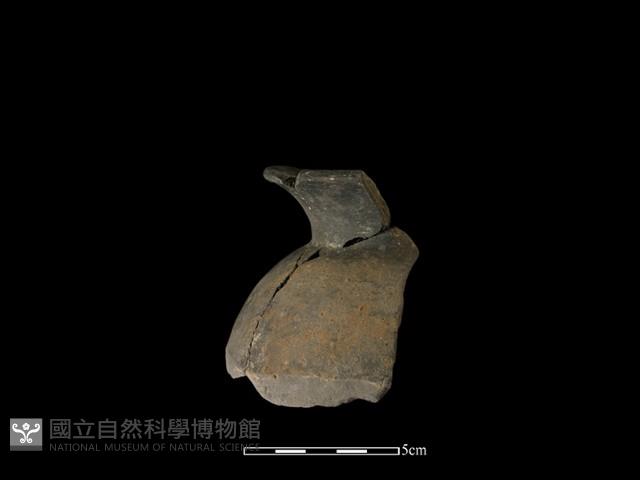 陶片藏品圖，第3張