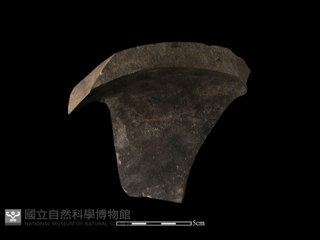 陶片藏品圖，第3張