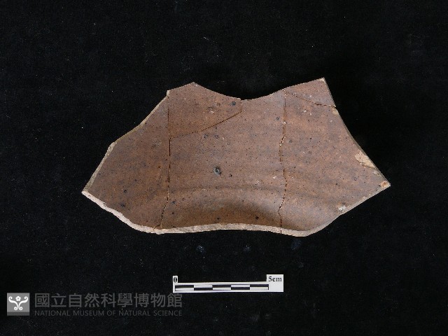 陶片藏品圖，第4張