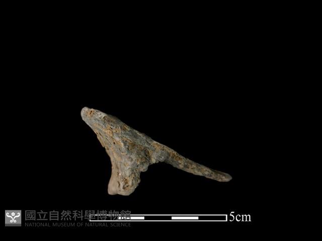 陶片藏品圖，第3張