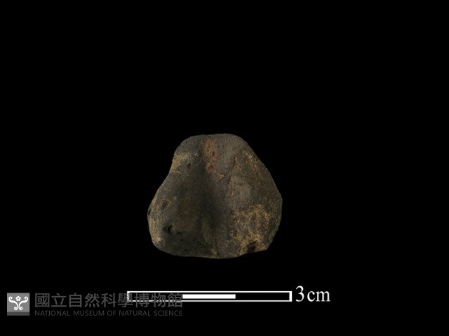 紡輪藏品圖，第3張
