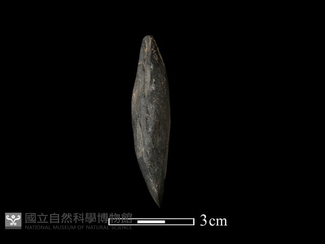 錛鑿形器藏品圖，第1張