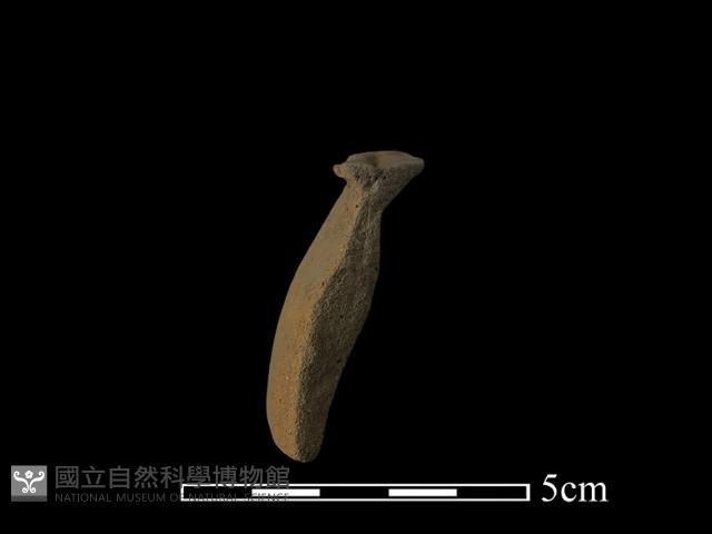 陶片藏品圖，第1張