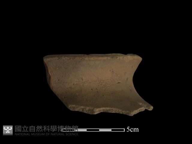 陶片藏品圖，第4張